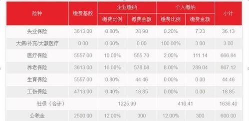 社保2档和1档的区别(养老保险费一档和两档的区别)