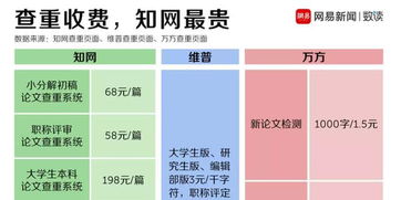 知网查重查什么东西