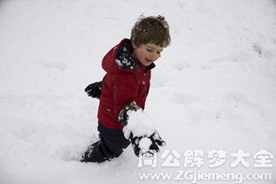 梦见雪里玩耍是什么意思