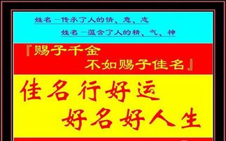 怎样给2019年生的猪宝宝起个好名字