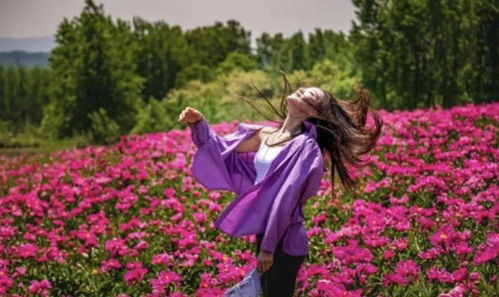 梦见一大片花田(梦见一片花田有各种各样的花)