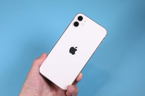 iPhone13 钢化膜已开售 网友 刘海确实小了不少