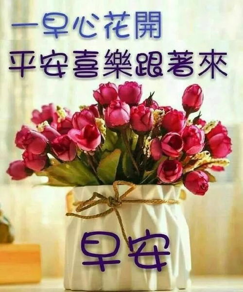 早晨好祝福语暖心句子 祝福女人生日最经典句子