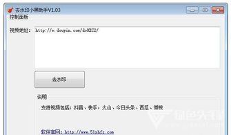 抖音小黑助手 视频去水印软件 V1.04 中文版软件下载 