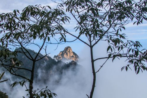 王维这首山水名诗,将空山初秋的雨后,写得旖旎秀美,余韵绕梁