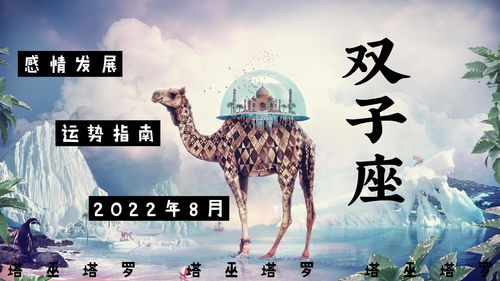 塔巫塔罗 双子座2022年8月运势,强烈的自我保护欲,感觉很疲惫 