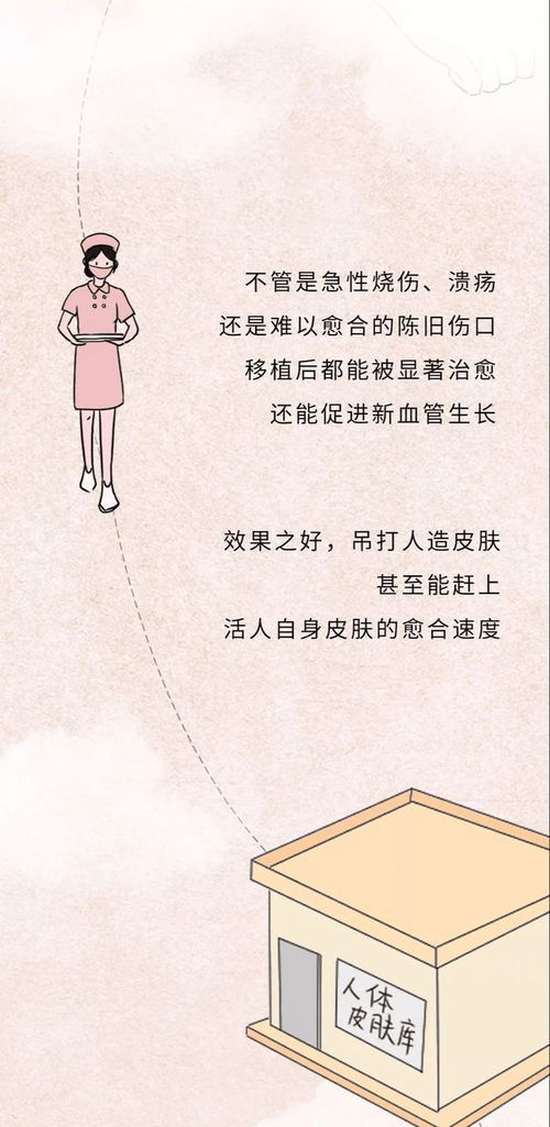 人类在死亡之后,如何处理尸体,才能发挥最大的价值