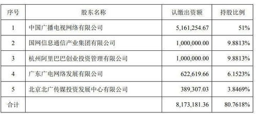 股份比例多少可以查账