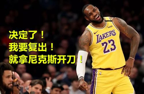 预测詹姆斯将季后赛受伤报销说说这赛季NBA已报销的球员