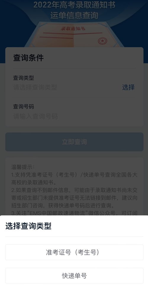 如何查询重丧信息？