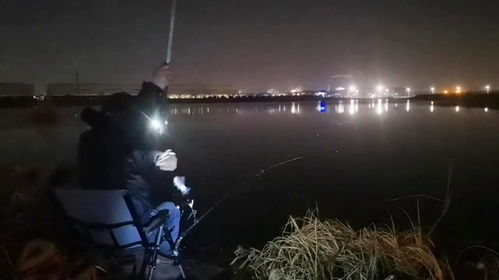 冬季夜钓鱼口轻,用夜光漂钓鱼,效果会怎样