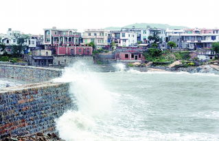 海水倒灌入侵沿海民宅 专家建议 设缓冲带 