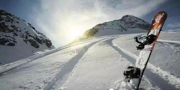 滑雪冷知识(滑雪小知识口诀)