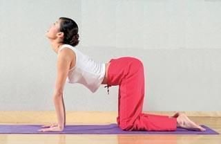 健康减肥知识 瑜伽初级教程让你柔和瘦身