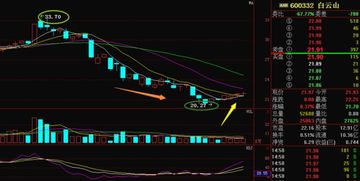 白云山股票下午走势如何啊