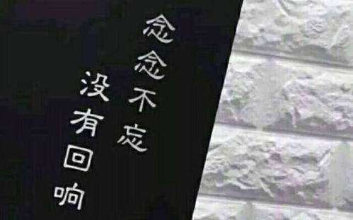 对前任念念不忘的星座,是否也有你