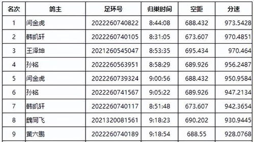 品鉴咸阳铁路700公里前十名奖鸽