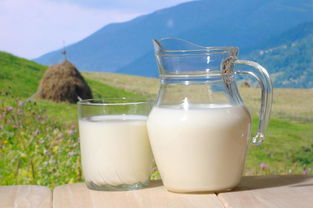 牛奶喝全脂 脱脂 低脂有什么区别