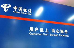 下面是“中国电信（China TeleCom）”的图标，仔细观察后， 根据你的理解，请用简明的语言说说中国电信图