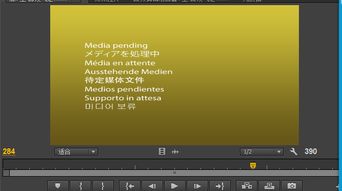用pr剪视频,素材都显示待定媒体文件,这是怎么回事啊QAQ 