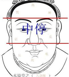 玄空风水面相法 一眉二眼三鼻梁