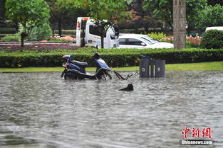 成都暴雨致城区部分道路积水 成河