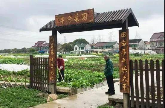 坚持法治为民,约出文明新风 金山区规范村规民约 居民公约 修订