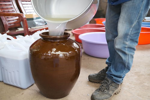 湖南这种酒被称本地 茅台 竟是牛粪堆里酿出来的