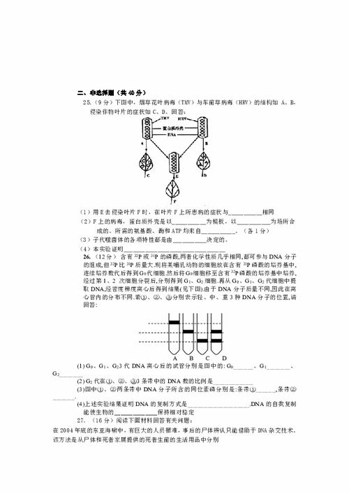 人教版必修2 第三章基因的本质单元测试题下载 生物 21世纪教育网 