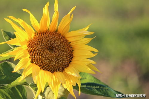 一吵架就一声不吭,对恋人冷暴力的4个星座,看看都有谁