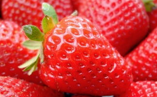 女生可以吃草莓吗 吃激素草莓会性早熟吗
