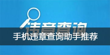 手机查违章什么APP比较好？