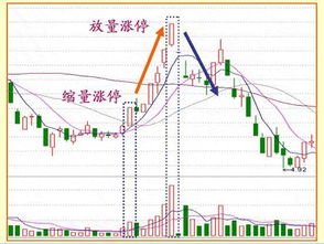 放量涨停后换手率百分之六第二天怎么办