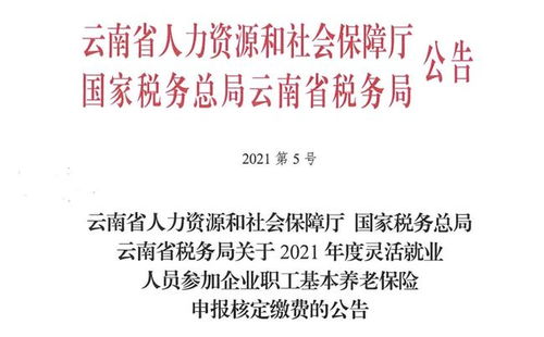 灵活就业人员养老保险手续办理灵活就业养老保险需要什么手续