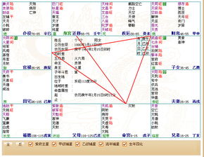 求紫微命盘详解农历19890918丑时 