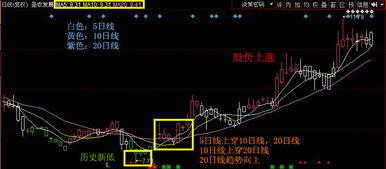 如何寻找近期出现历史新低的股票？