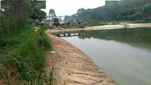 雨后鱼塘不管理,水质容易出问题 雨后水质调控实用技巧