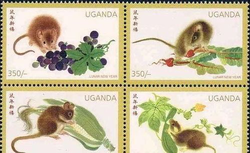 苗怀明 世界各国鼠年生肖邮票欣赏