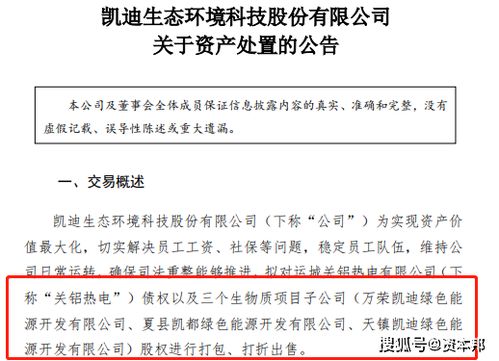 我的股票ST凯迪停盘了，不知道能不能退市？该如何处理