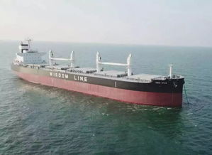 台胞2艘6.1万吨散货船在大连中远川崎顺利命名