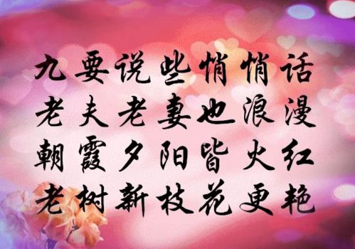 秀恩爱的俏皮句子祝夫妻幸福的祝福语四字-图2