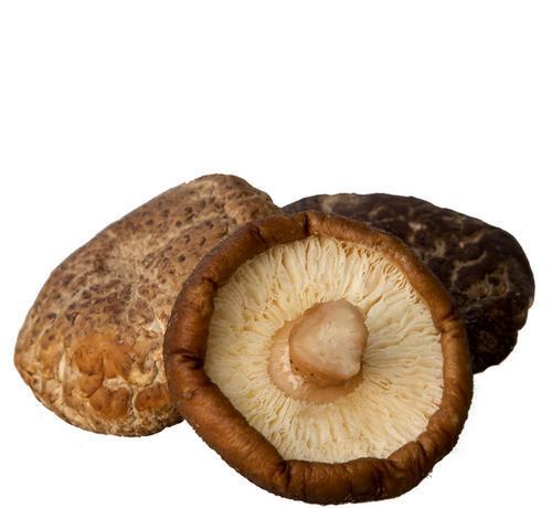 吃原木花菇好处多多,它是菌中之星,可以延缓衰老