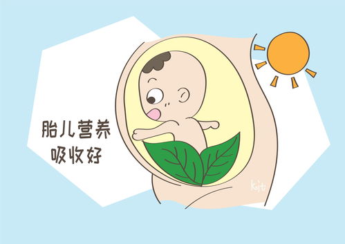 孕期中的宝妈要注意,别再胡吃海塞了,吃再多宝贝也未必长得好