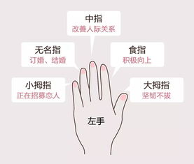 不同手指上戴戒指能带来的神奇效果 日本网友分享被疯传