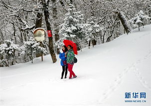 下雪的地方这么多你家还没下雪 快来这里 云赏雪 