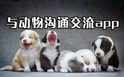 动物语言翻译器中文版下载 和动物交流的软件 