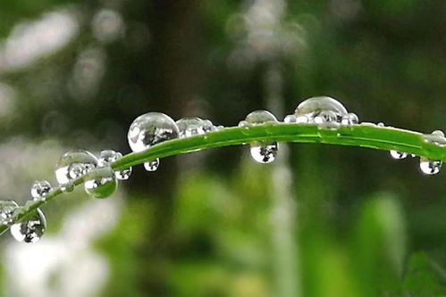 细雨轻轻敲我窗