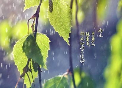 2020年2月19日雨水节气出生男孩取名带雨字吉祥名字