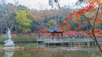 南京市栖霞山风景名胜区门票预订 南京市栖霞山风景名胜区门票价格 南京市栖霞山风景名胜区门票多少钱 