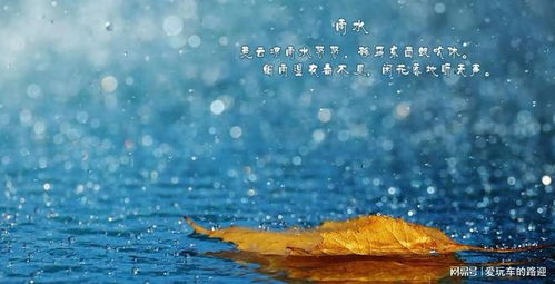 雨,润泽灵魂的柔美